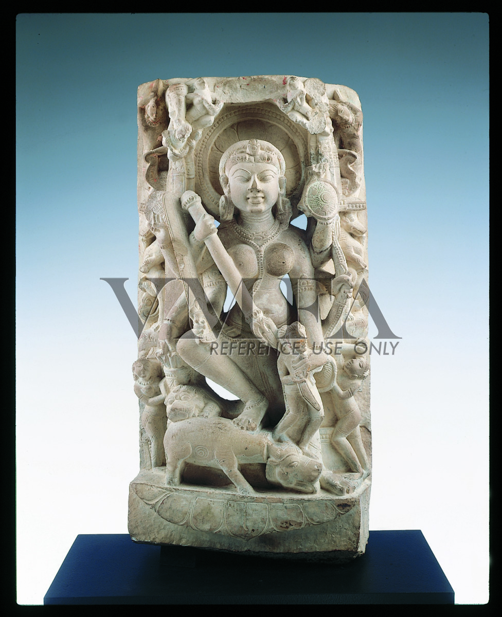 68_8_21_vv_CS_7_20010598_o7